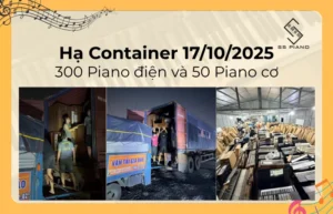 Hạ Container Piano ngày 17 tháng 10 năm 2025