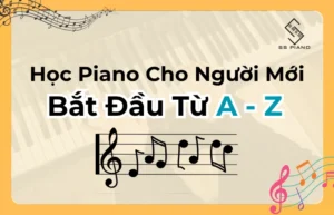 Học đàn Piano cho người mới bắt đầu