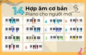 14 hợp âm cơ bản Piano