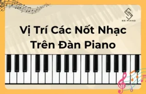 Xác định vị trí các nốt nhạc trên đàn Piano